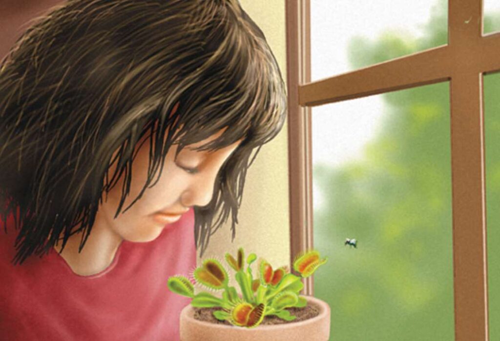 Hungry Plants is one of the best children's books about Venus fly traps