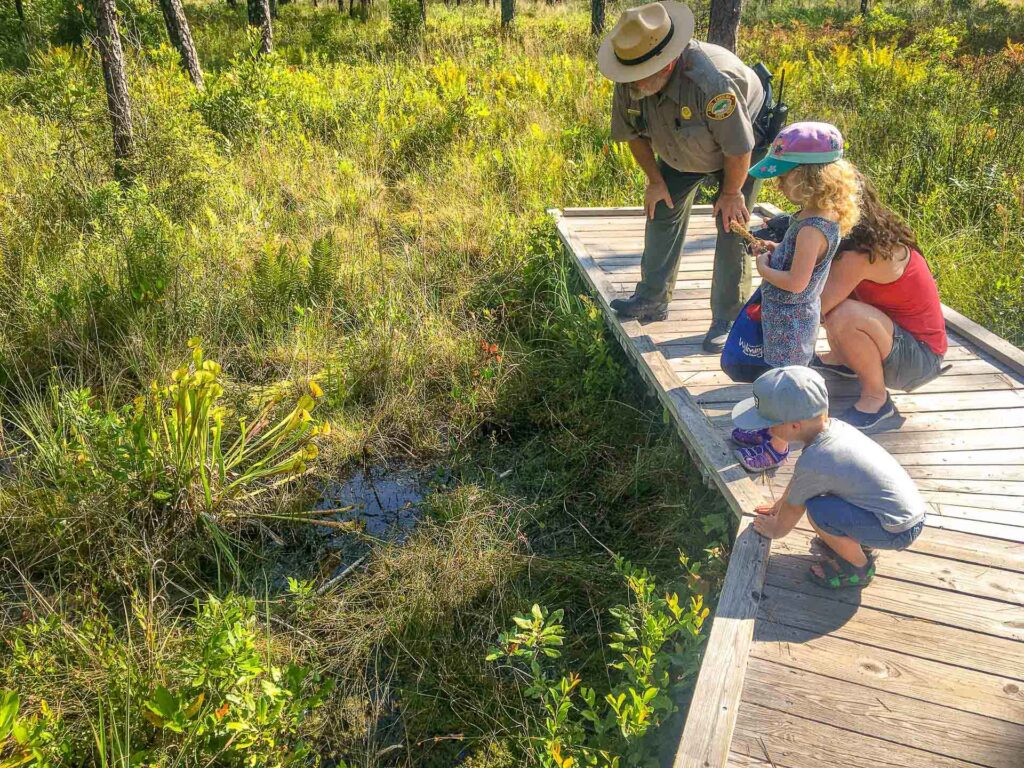 Looking for Venus fly traps and pitcher plants with a park ranger in North Carolina