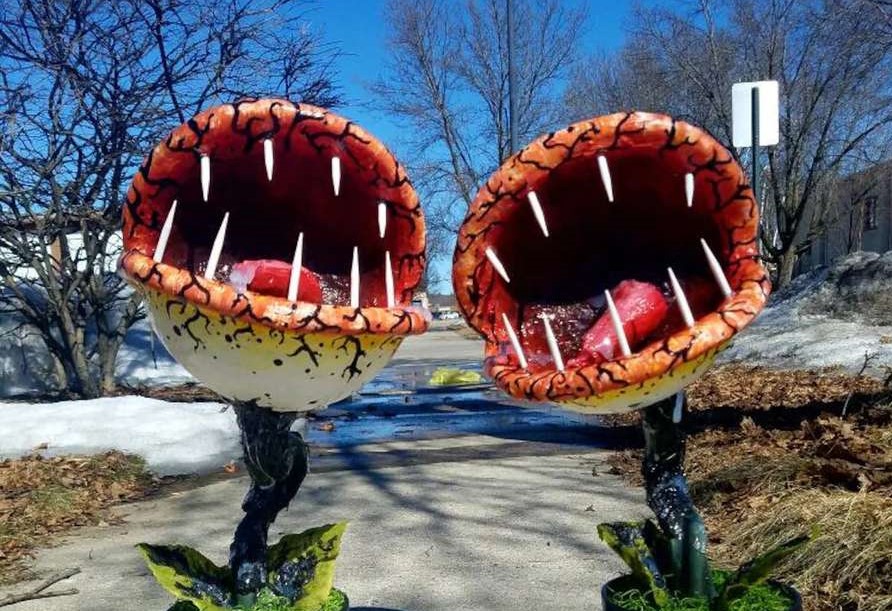 https://www.venus-flytraps.com/wp-content/uploads/2021/10/best-venus-fly-trap-halloween-decorations-header.jpg