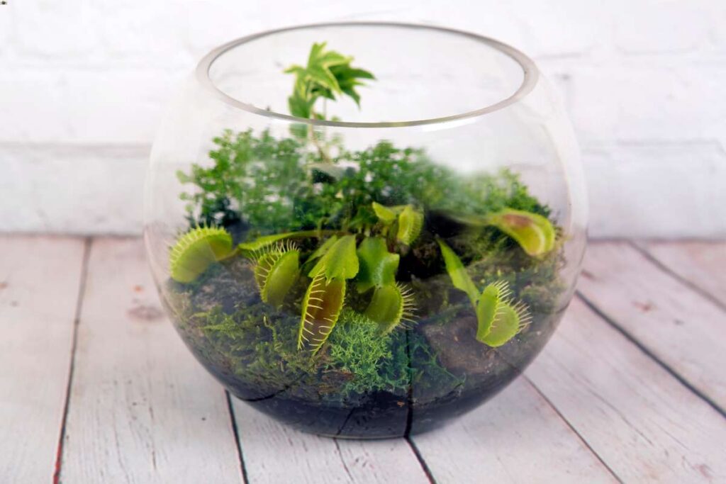 bright sunny windowsill at the growing container