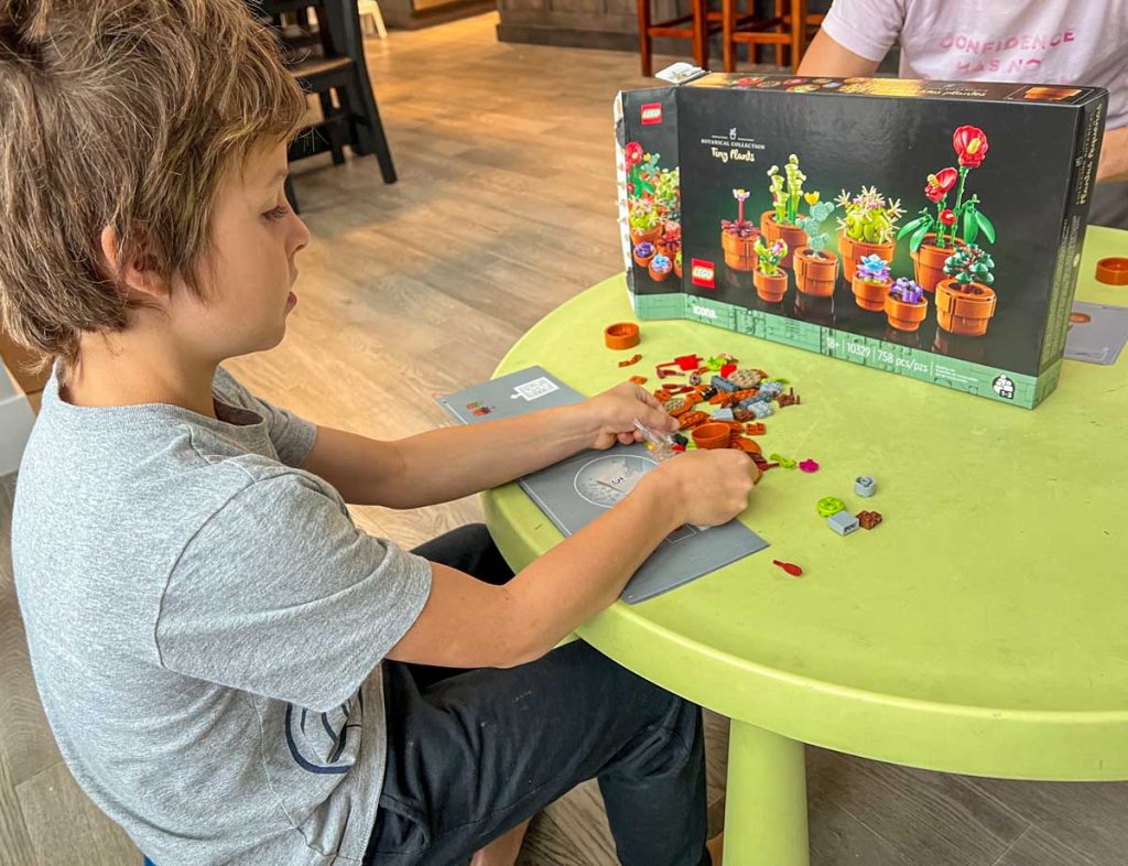 An 8-year old boy works on the Lego Tiny Plants set (Lego set #10329 - Botanical Collection).